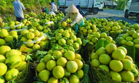 Vận động người Việt Nam ưu tiên dùng hàng Việt Nam