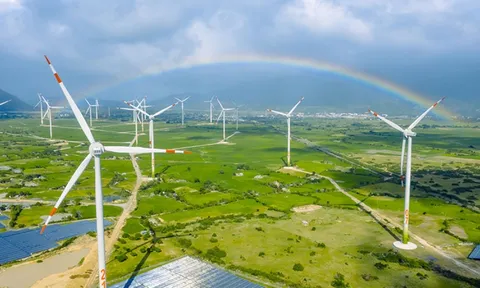 Nhiều nhà máy điện gió với tổng công suất 3980,27 MW được công nhận COD