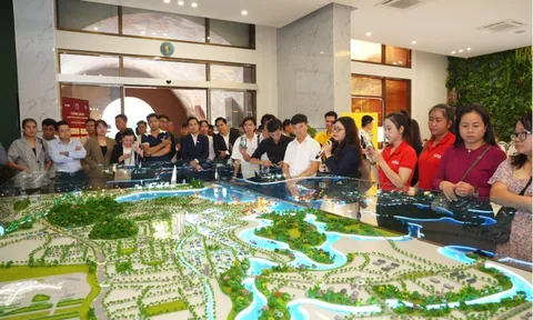 Giá thuê căn hộ chuyên gia tại CBD đô thị cảng: Lực hút bền vững từ hạ tầng và dòng vốn quốc tế