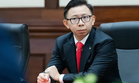 Vingroup hỗ trợ Pomina qua gói tài chính đặc biệt