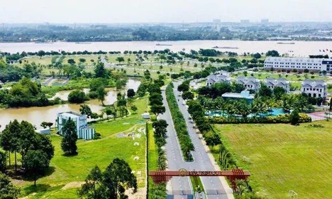 Tổng công ty Tín Nghĩa không kê khai nộp thuế giá trị gia tăng 535 tỷ đồng