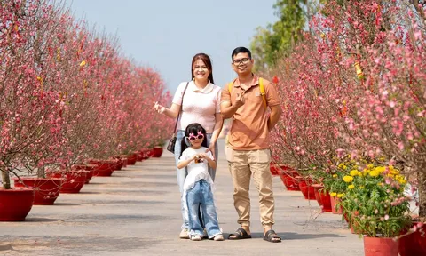 Cư dân tương lai phấn khích với màn chào sân của siêu đô thị ESG++: “Chọn nơi sống, nhất định phải là Vinhomes Green Paradise”