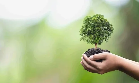 Môi trường là gì? Hiểu đúng về khái niệm môi trường