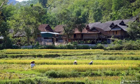 Tăng cường công tác hỗ trợ phát triển kinh tế - xã hội đồng bào vùng dân tộc thiểu số và miền núi
