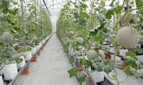 Các tiêu chí xác định doanh nghiệp công nghệ cao