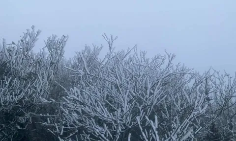 Không khí lạnh tăng cường, vùng núi có nơi dưới 0 độ; biển động mạnh