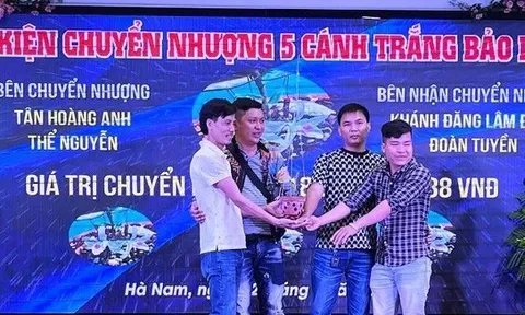Những “cơn sốt” và tâm lý đám đông trong đầu tư kinh tế tại Việt Nam