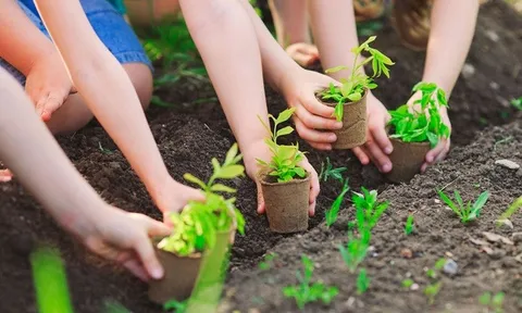 Trọng tâm 2021: Theo dõi thi hành pháp luật bảo vệ môi trường, quyền sử dụng đất