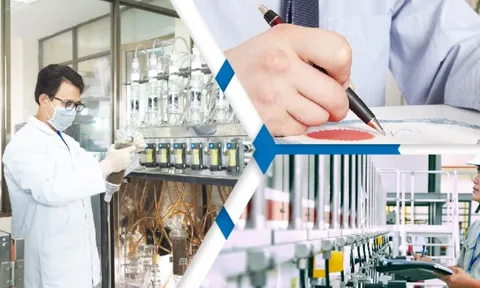 Tăng năng suất lao động dựa trên nền tảng ứng dụng khoa học, công nghệ