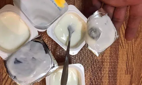 Sữa chua TH True Milk bị nấm mốc dù vẫn còn hạn sử dụng