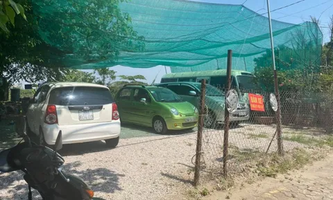 Xã Đức Giang (Hoài Đức): Bao giờ chấm dứt tình trạng sử dụng sai mục đích trên đất nông nghiệp?