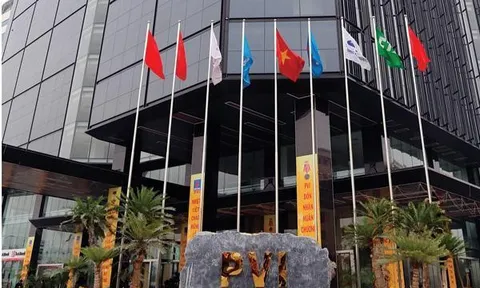 Nhà đầu tư ngoại HDI Global SE che giấu thông tin sở hữu tại PVI, phạt 185 triệu đồng
