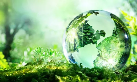 Bộ TN&MT họp hoàn thiện Nghị định quy định chi tiết một số điều của Luật Bảo vệ môi trường 2020