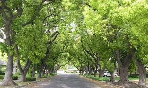 Xây dựng Nghị định của Luật BVMT: Đúng tinh thần Luật, phù hợp thực tiễn, thuận lợi thi hành