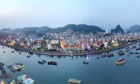 Quảng Ninh: Thu nhận “trái ngọt” từ những nỗ lực tiên phong, đột phá