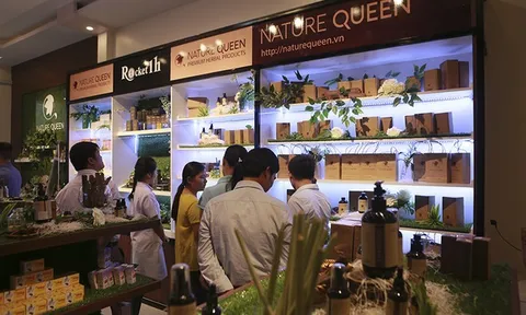 Lợi nhuận âm, cổ phiếu SJF của Sao Thái Dương bị cảnh báo