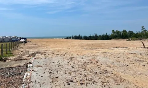 Chưa hoàn thành đánh giá tác động môi trường Nhà máy sản xuất bột cá Hòn La đã san ủi mặt bằng