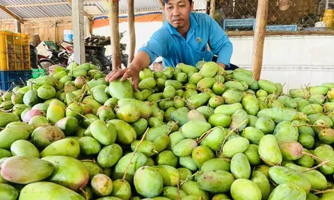 Quản lý thị trường hỗ trợ tiêu thụ nông sản cho vùng dịch