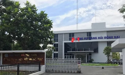 Đề xuất cơ cấu tổ chức của Cảng vụ Hàng hải