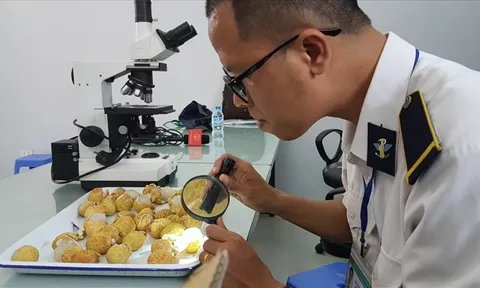 6 trường hợp được miễn phí kiểm dịch thực vật