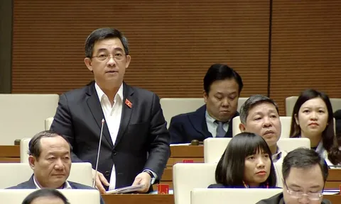 Nhiều doanh nhân trúng cử Đại biểu Quốc hội khóa XV