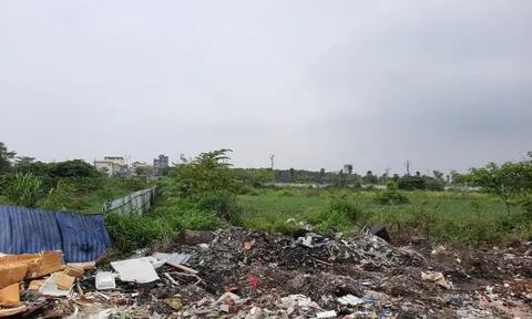 Lũng Lô 5 có phải đơn vị thành viên của Tổng Công ty Lũng Lô?