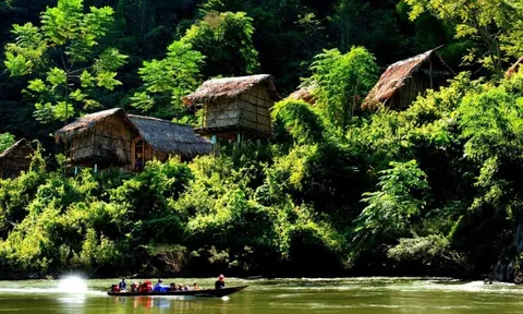 Đoàn kết để hồi sinh các hệ sinh thái