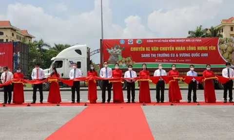 Những tấn nhãn đầu tiên chuẩn bị xuất khẩu sang thị trường Châu Âu