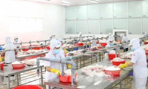 TP HCM: Doanh nghiệp thực hiện “3 tại chỗ”, đảm bảo sản xuất