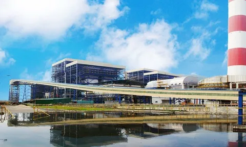 Đề xuất chuyển đổi 24 ha đất rừng để triển khai dự án Nhiệt điện Vũng Áng II