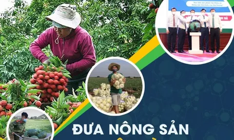 Giúp các hộ nông dân tham gia sàn thương mại điện tử
