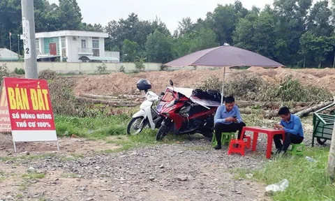 Bộ Xây dựng: Sốt đất đã hạ nhiệt so với thời kỳ cao điểm đầu năm