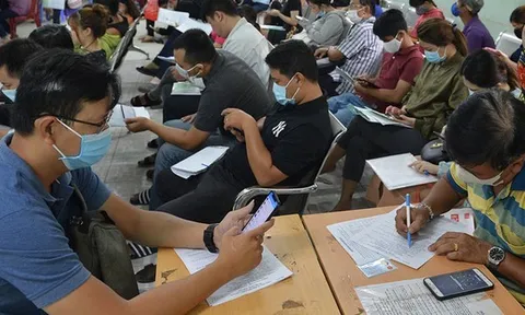 Quý 2/2021: Hàng triệu người bị ảnh hưởng do tác động của COVID - 19