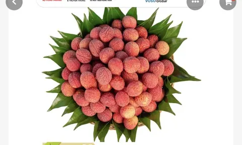 Vượt bão COVID – 19, nông sản Việt lên sàn thương mại điện tử