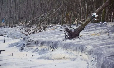 Thừa Thiên Huế ban hành kế hoạch hành động ứng phó với BĐKH giai đoạn 2021- 2030