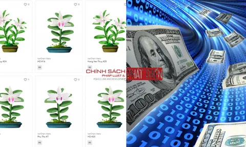 Lan đột biến “lên sàn” tiền mã hóa