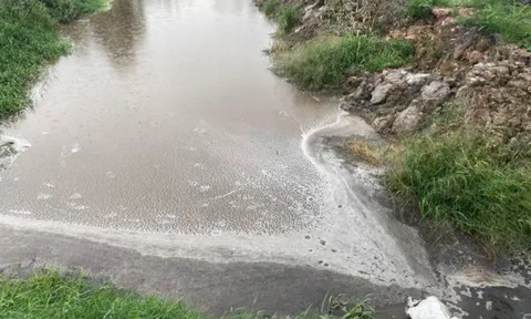 Thanh Hóa: Trang trại chăn nuôi lợn, nuôi trồng thủy sản và trồng cây cảnh, cây dược liệu làm khổ dân