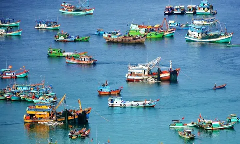 Dính thẻ vàng, kim ngạch xuất khẩu thủy sản sang EU sụt giảm nghiêm trọng