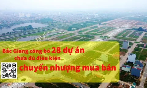 Bắc Giang công bố 28 dự án chưa đủ điều kiện chuyển nhượng mua bán