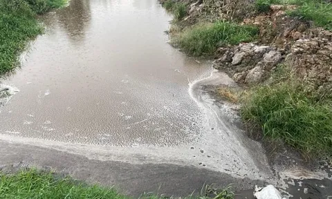 Thanh Hóa: Sở TN&MT nói gì về tình trạng ô nhiễm tại dự án Trang trại chăn nuôi lợn, nuôi trồng thủy sản và trồng cây cảnh, cây dược liệu?