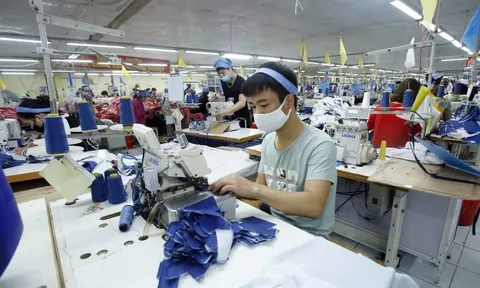 Dệt may Việt Nam: Đối mặt với nguy cơ đình trệ sản xuất