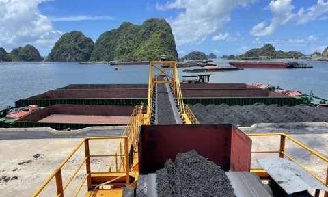 TKV: Ưu tiên giải pháp bảo vệ môi trường