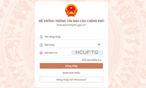 Hệ thống thông tin báo cáo Chính phủ cung cấp công cụ hỗ trợ người gặp khó khăn vì Covid-19