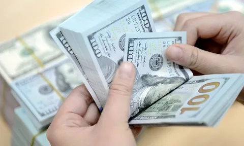 Tạm dừng giao dịch ngoại tệ với tổ chức tín dụng nếu không nộp báo cáo đúng hạn