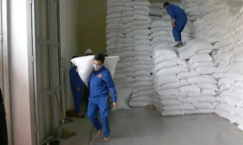 Xuất hơn 130.000 tấn gạo cho 24 tỉnh, thành phố hỗ trợ người dân gặp khó khăn do dịch COVID-19