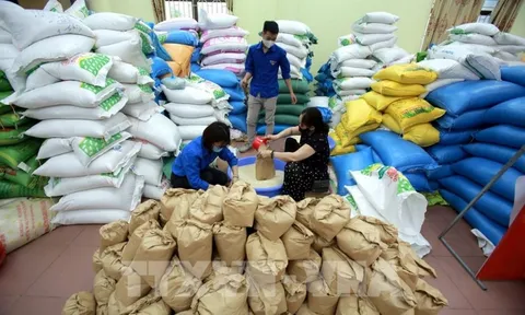 Xuất cấp hơn 4.000 tấn gạo hỗ trợ người dân gặp khó khăn do dịch Covid-19