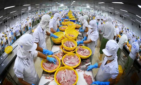 Việt Nam đặt mục tiêu trở thành 5 nước hàng đầu về chế biến thủy sản
