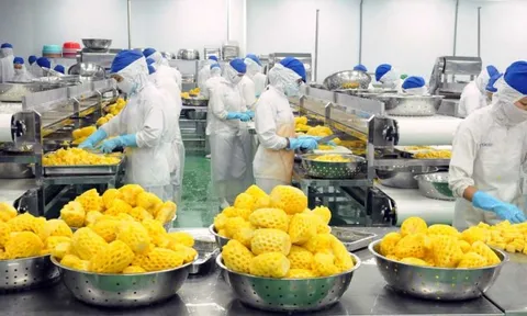 Khoá học Hướng dẫn thực hành 5S tại doanh nghiệp